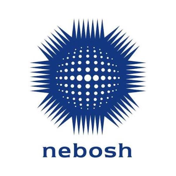 NEBOSH International General Certificate: Is It Right for You?
