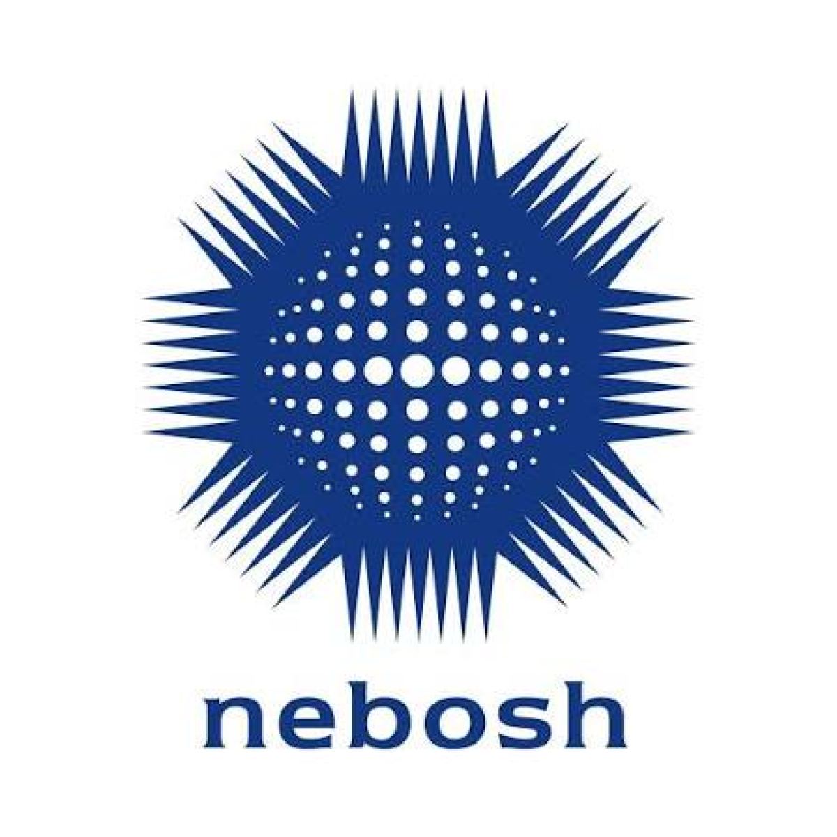 NEBOSH International General Certificate: Is It Right for You?