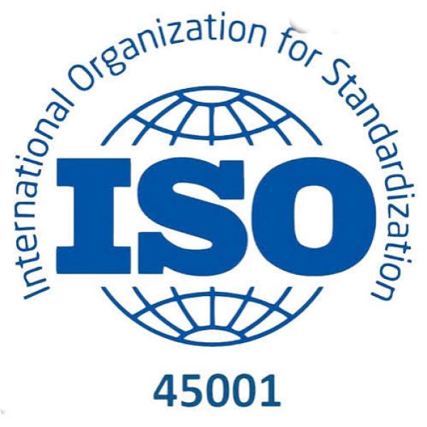 ISO 45001: What It Means for Occupational Health and Safety